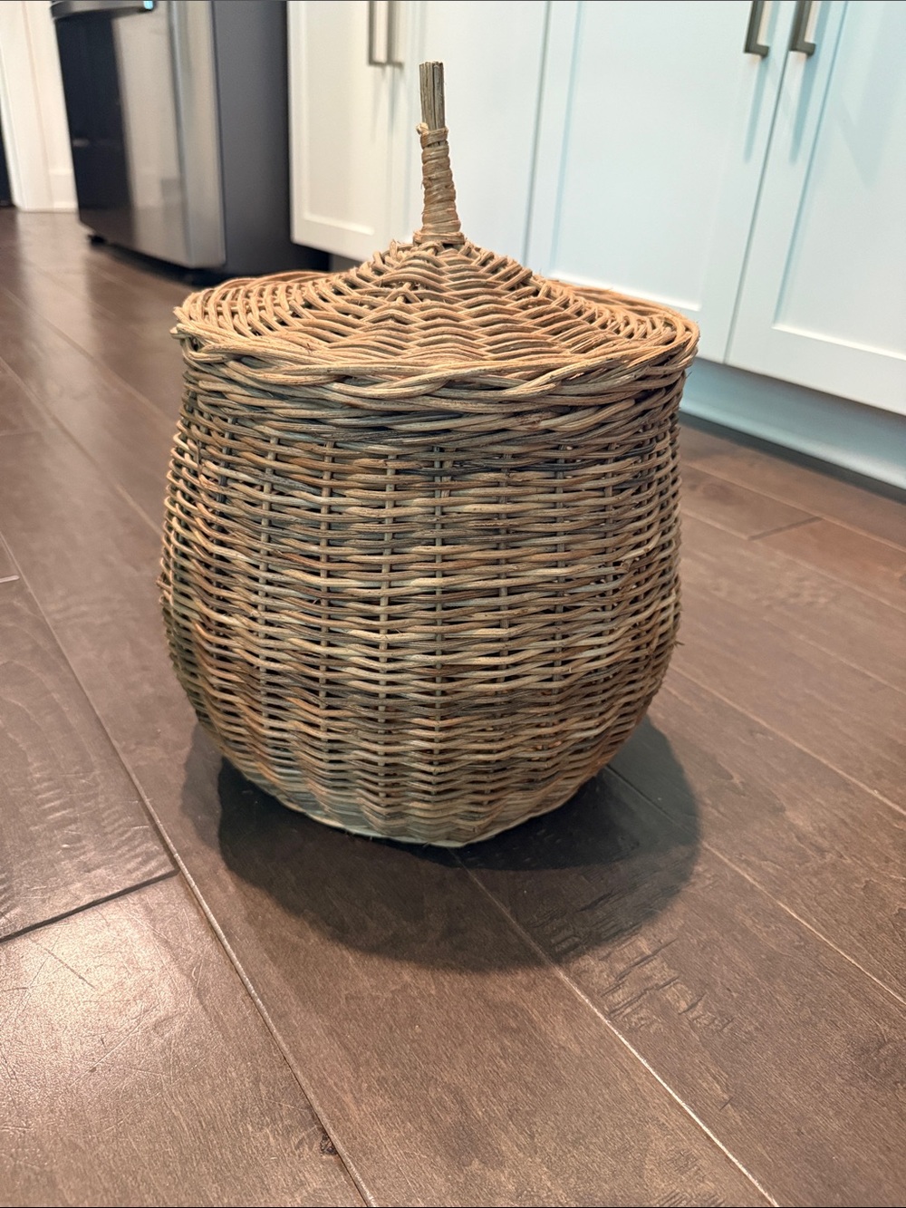 Studio McGee Woven Lidded Basket - Natural Brown